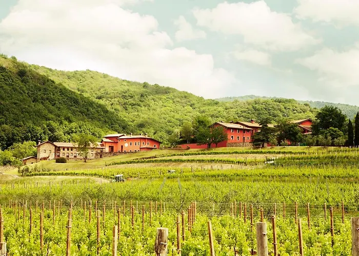 Agriturismo L\'Uva E Le Stelle